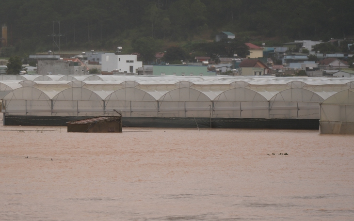 Dân bàng hoàng mất trắng sau khi thủy điện Đa Nhim xả lũ ồ ạt giữa đêm - Ảnh 11.
