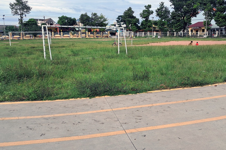 giun đất - Ảnh 2.