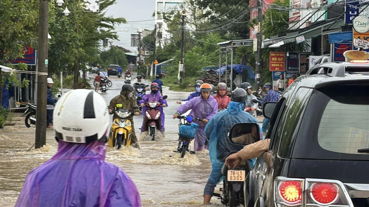 Đắk Lắk - Ảnh 2.