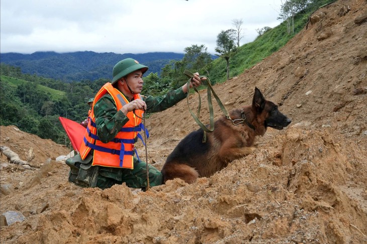 Đà Nẵng - Ảnh 1.