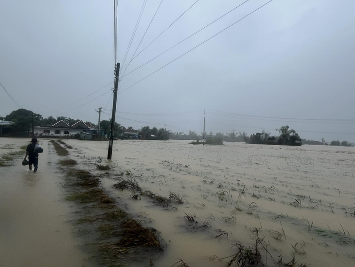 Nha Trang - Ảnh 2.