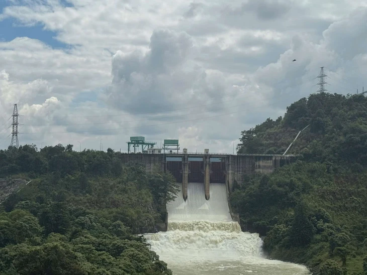 'Vỡ đập Đồng Cam', '10 người chết vì dính axit khi lặn vớt tôm hùm' là tin giả - Ảnh 2.