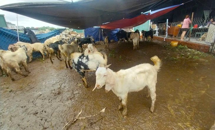 Nha Trang - Ảnh 3.