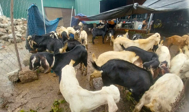 Nha Trang - Ảnh 4.