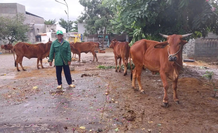 Nha Trang - Ảnh 2.