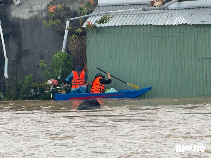 Nha Trang - Ảnh 10.