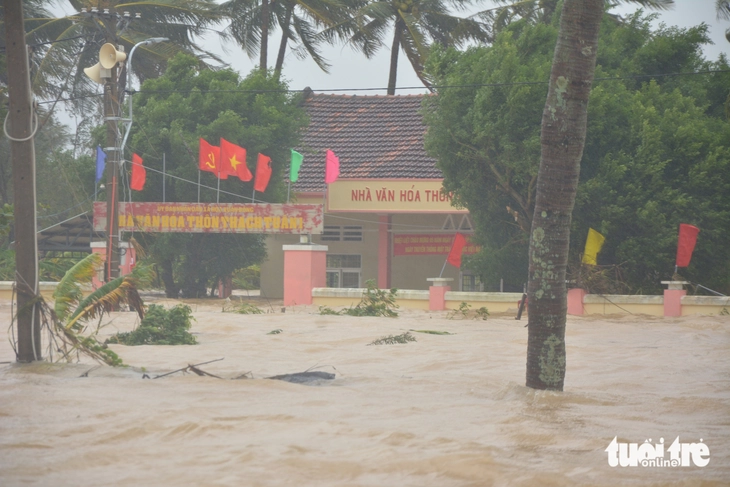 Phú Yên - Ảnh 5.