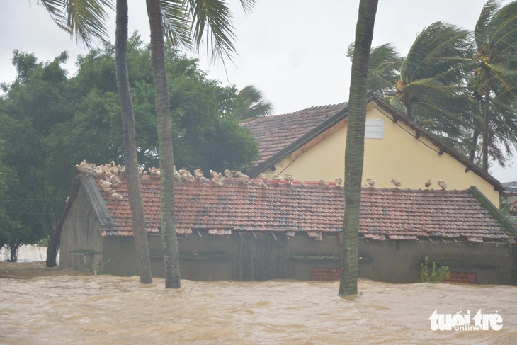 Phú Yên - Ảnh 11.