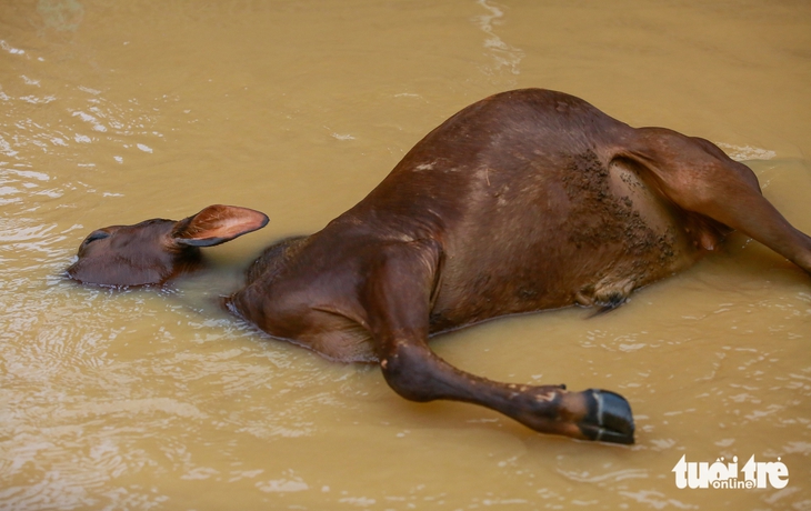Phan Rang - Ảnh 10.
