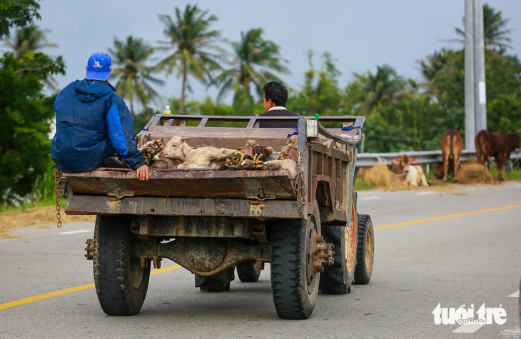 Phan Rang - Ảnh 11.