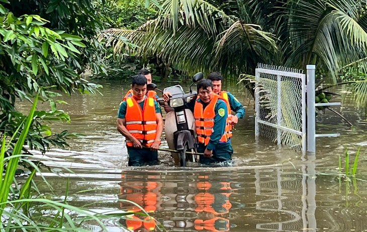 thuỷ điện - Ảnh 1.