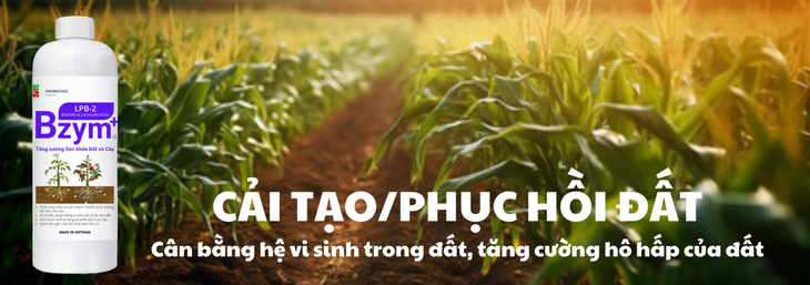 nông nghiệp - Ảnh 2.