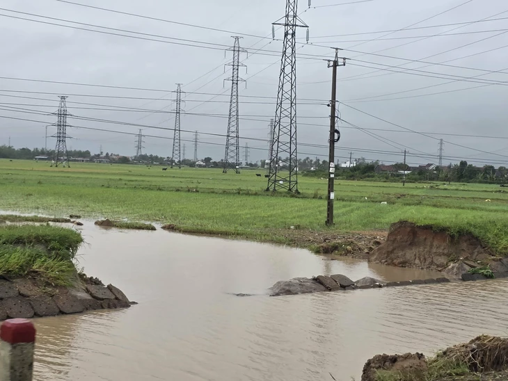 Nha Trang - Ảnh 11.