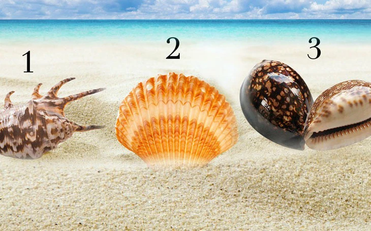 Quiz: Lựa chọn tiết lộ sự thật bất ngờ về bạn - Ảnh 3.