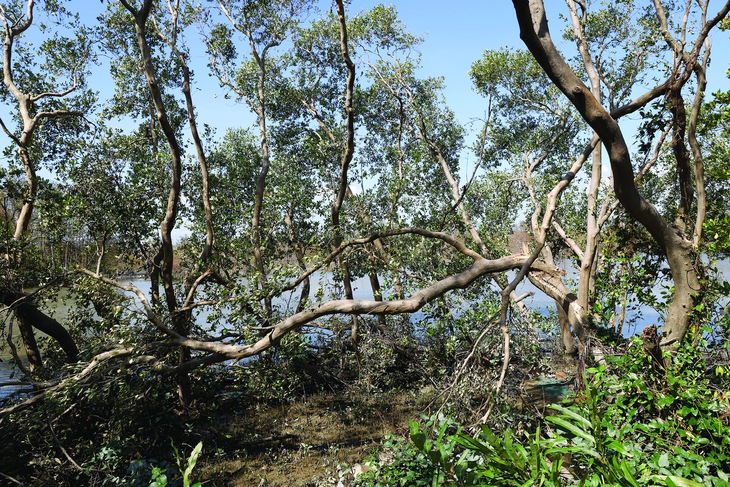 Thiên tai, bão Kalmaegi  - Ảnh 4.