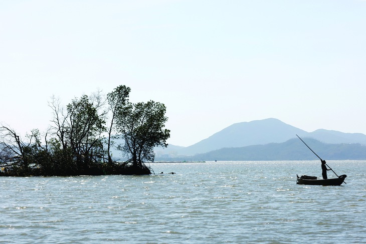 Thiên tai, bão Kalmaegi  - Ảnh 7.