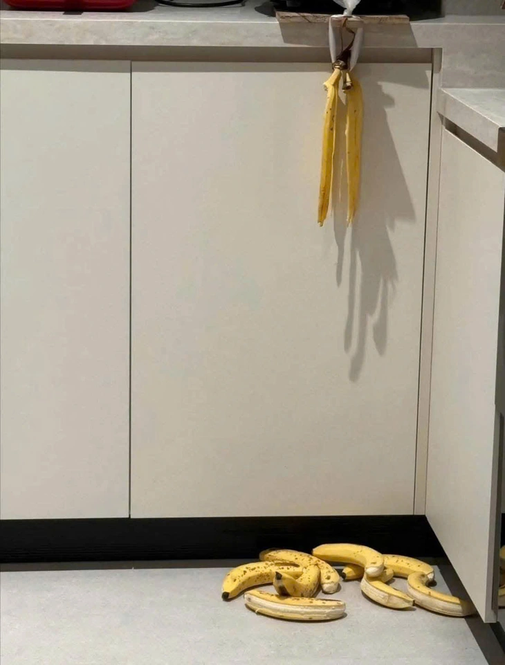 ảnh vui - Ảnh 2.