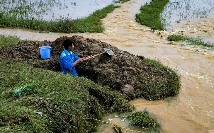Ninh Thuận - Ảnh 9.