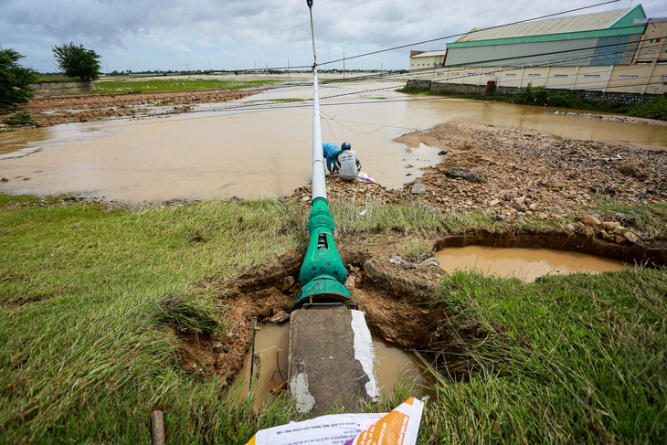 Ninh Thuận - Ảnh 7.