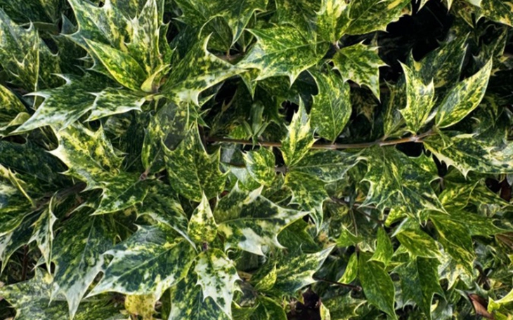 Quiz: Nếp nhăn trán tiết lộ gì về công danh sự nghiệp của bạn - Ảnh 3.