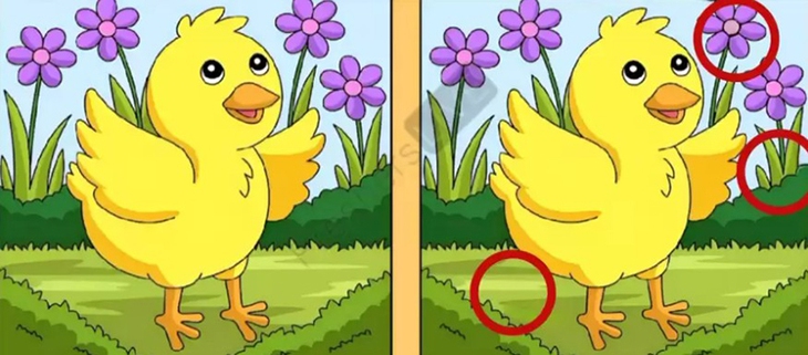 con ếch - Ảnh 6.