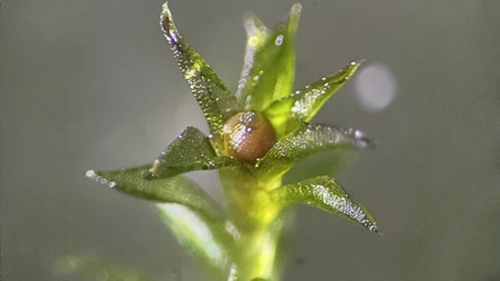 không gian - Ảnh 1.