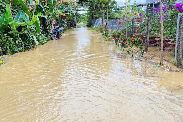 ngập lụt - Ảnh 3.