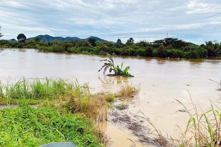 ngập lụt - Ảnh 1.