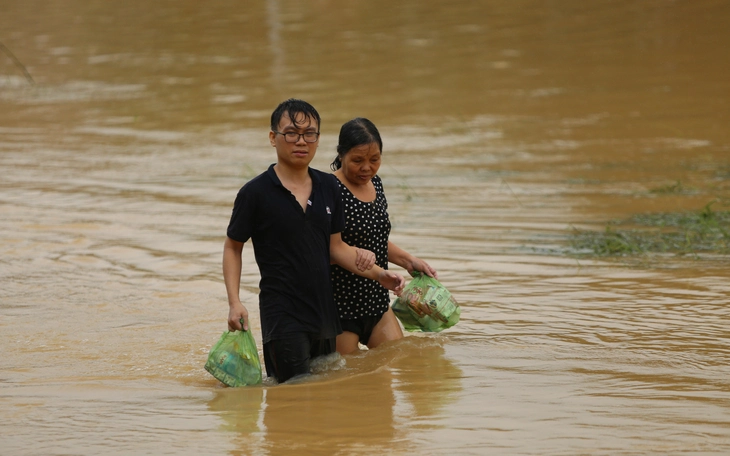 Bò chết la liệt sau trận lũ tàn khốc ở Tuy An Đông, Đắk Lắk - Ảnh 9.