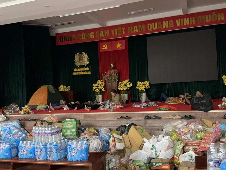 Nguyễn Hòa Bình - Ảnh 2.