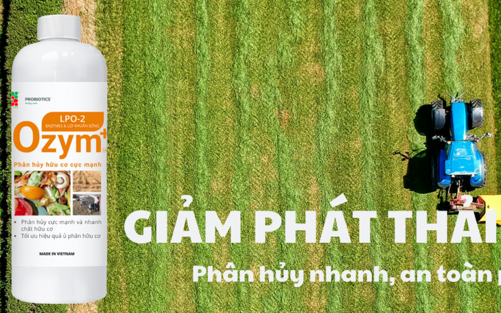 Mượn đồi chè xanh bát ngát, vườn tre tít tắp để 'câu' khách du lịch - Ảnh 6.