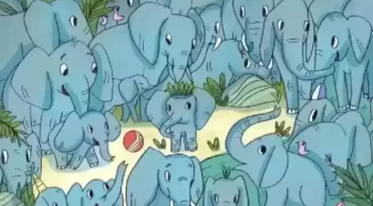 con ếch - Ảnh 3.