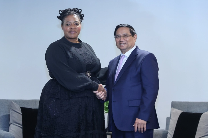 Thủ tướng Phạm Minh Chính - Ảnh 3.