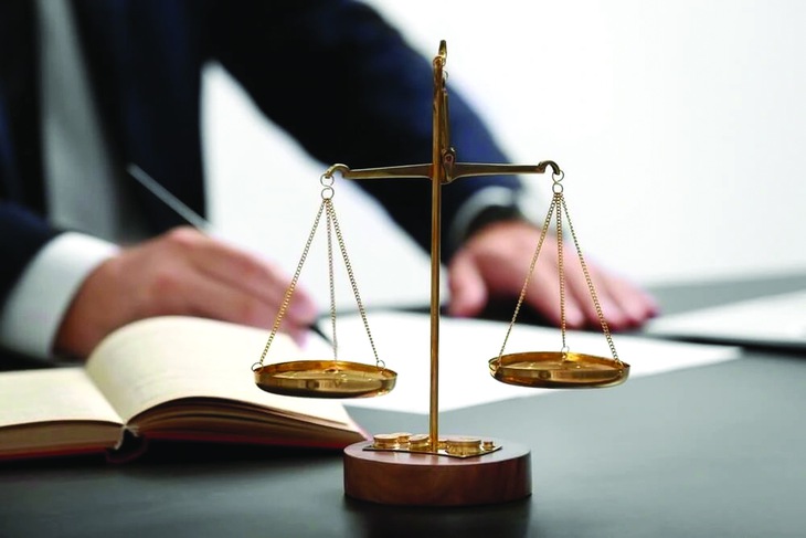 đại biểu - Ảnh 1.