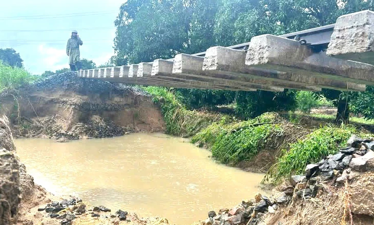 đường sắt - Ảnh 1.