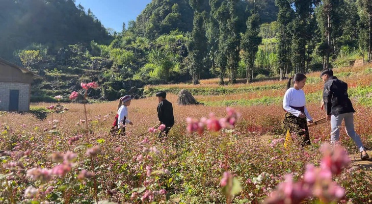 cột cờ lũng cú - Ảnh 3.