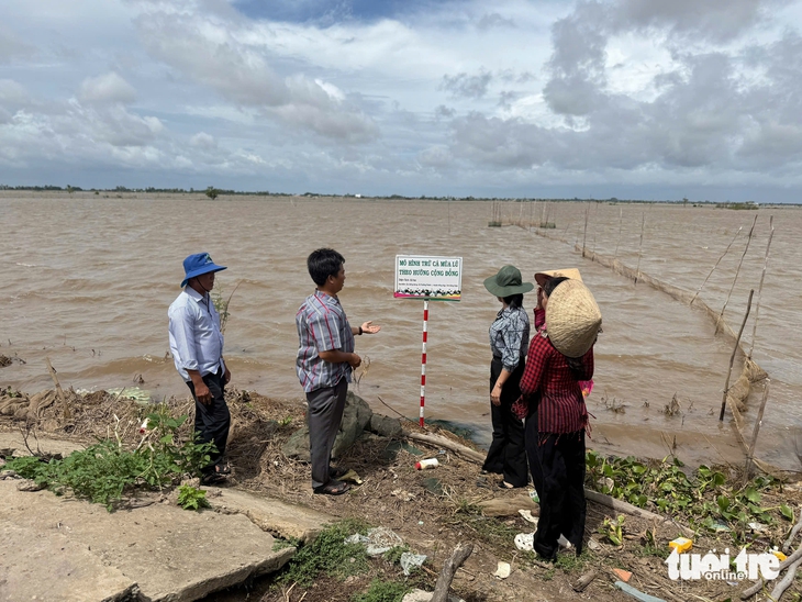 đồng nước nổi - Ảnh 3.