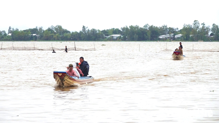 đồng nước nổi - Ảnh 5.
