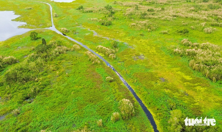 Già đẫy Java - Ảnh 7.