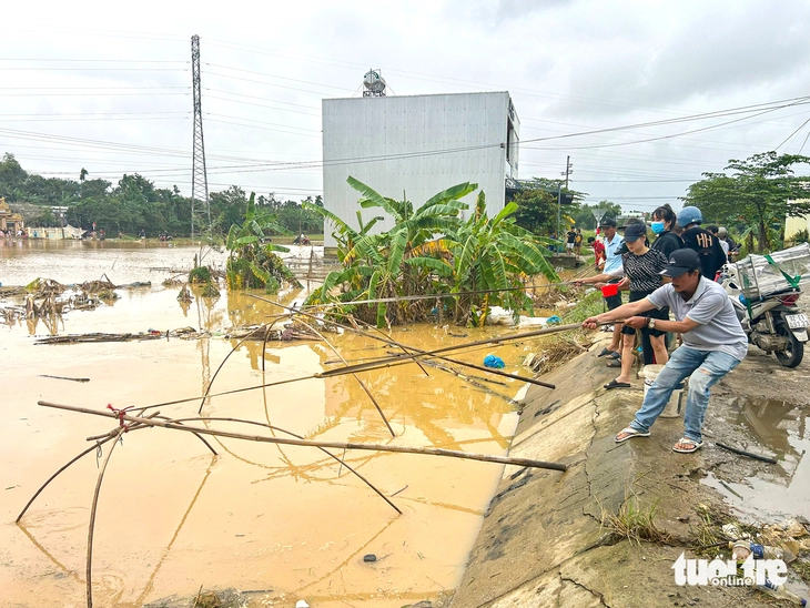 Người dân xứ Quảng đổ ra đồng kéo 'tủ' bắt cá 'rầm' kho nghệ - Ảnh 1.
