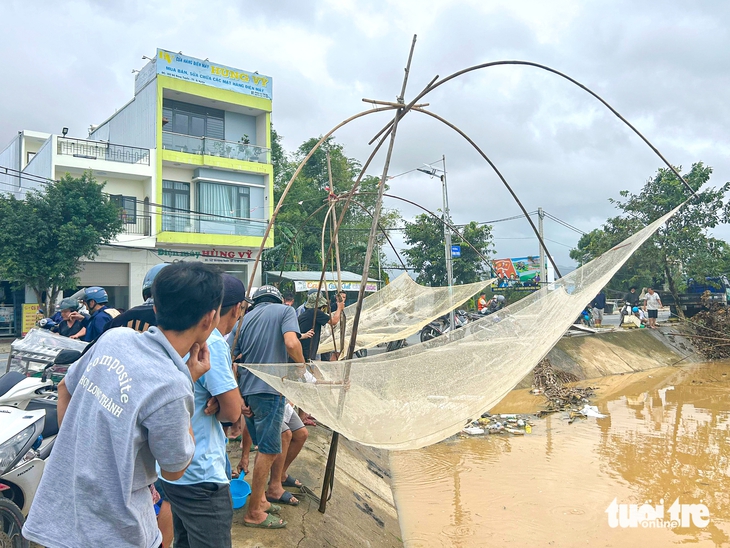 bắt cá - Ảnh 5.