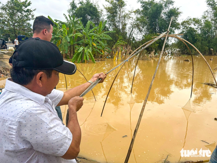 bắt cá - Ảnh 3.