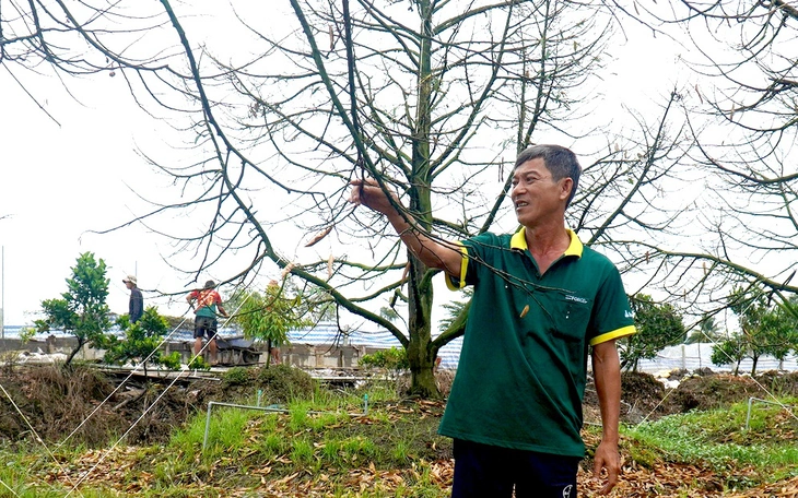 TP.HCM triển khai ứng phó với đợt riều cường đang lên, ngày 5-12 đạt đỉnh xấp xỉ 1,8m - Ảnh 2.