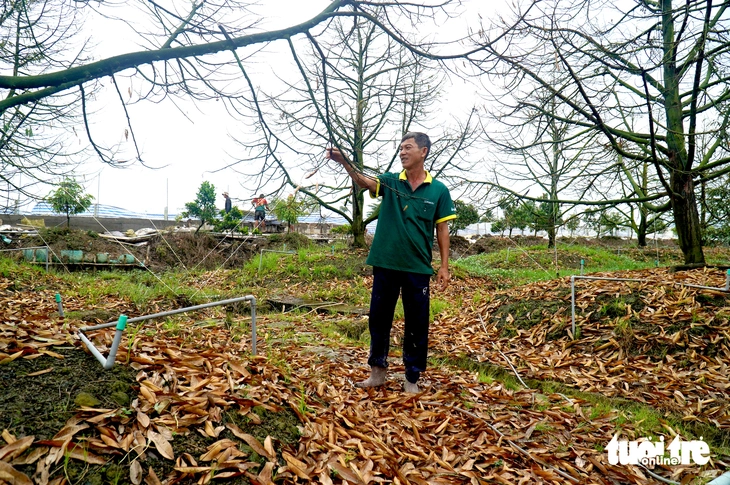 Vì sao triều cường phía Đồng Tháp lớn hơn Cần Thơ? - Ảnh 4.