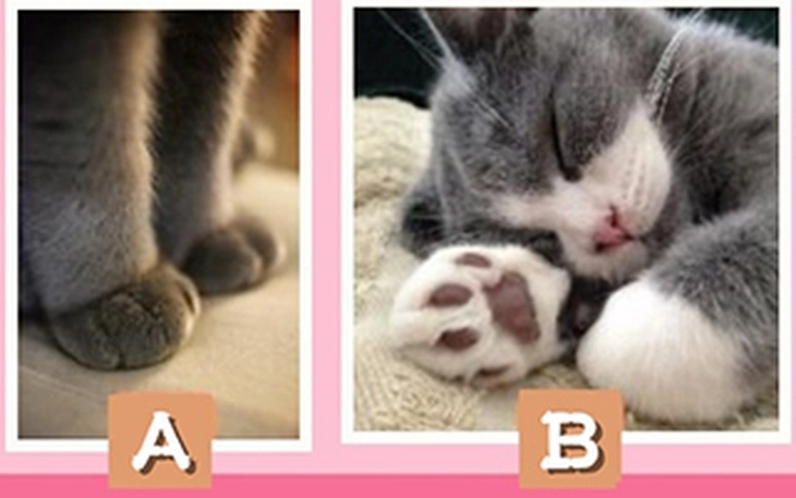 Quiz: Chiếc ghế bạn chọn tiết lộ góc khuất tính cách của bạn - Ảnh 2.