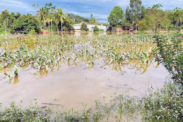 thủy điện - Ảnh 1.