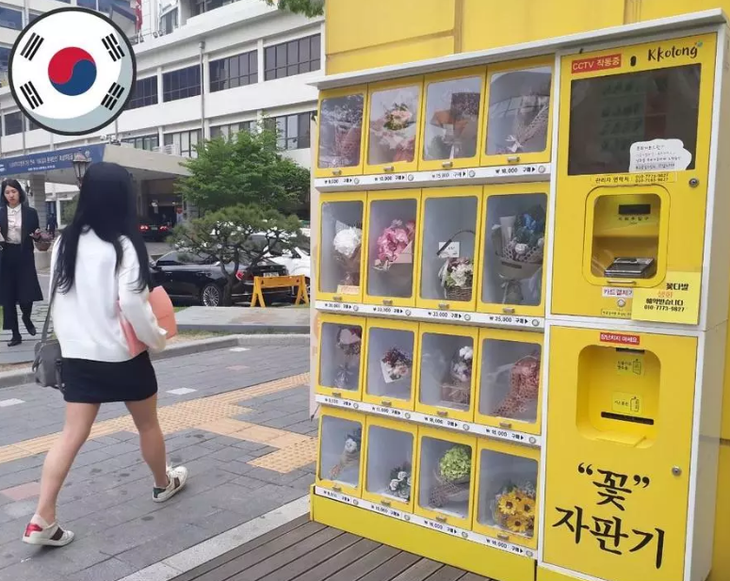 Hàn Quốc - Ảnh 3.