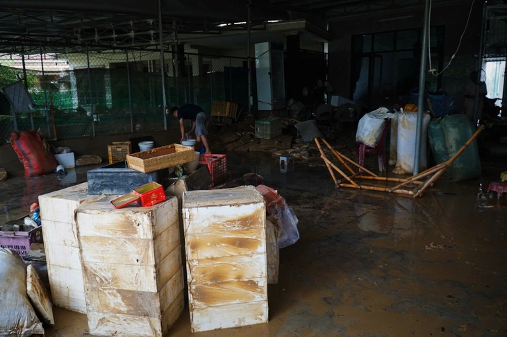 Khánh Hòa - Ảnh 9.