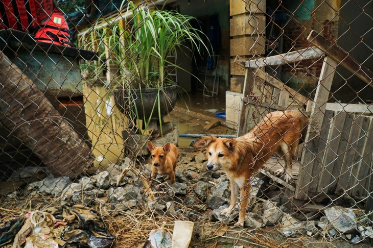 Khánh Hòa - Ảnh 12.