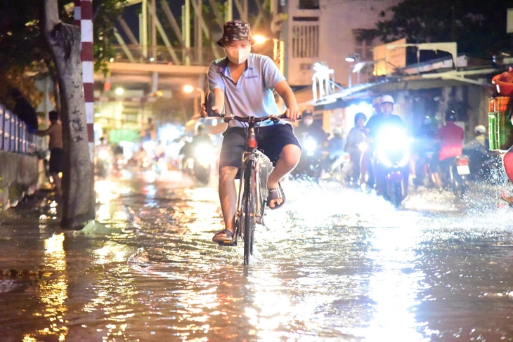 triều cường - Ảnh 2.